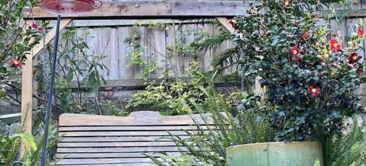 梅里伍德度假屋，私密、静谧的花园环境(At the Merriewood Retreat you are in a private, serene,garden setting.)图片