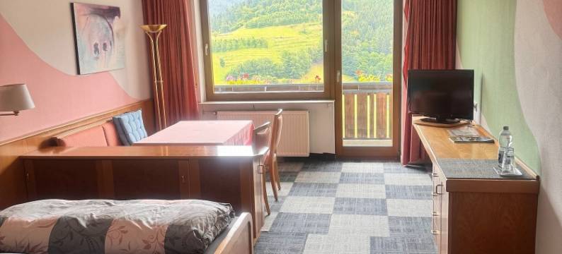 绍因斯兰酒店(Hotel Schauinsland)图片