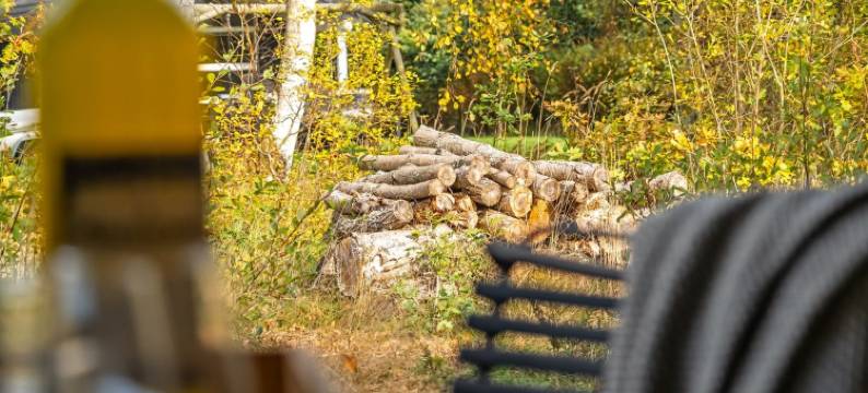 "Tanas" - 2km from the Sea图片