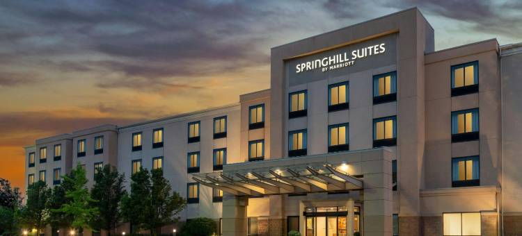 底特律奥本山万豪SpringHill酒店(SpringHill Suites Detroit Auburn Hills)图片