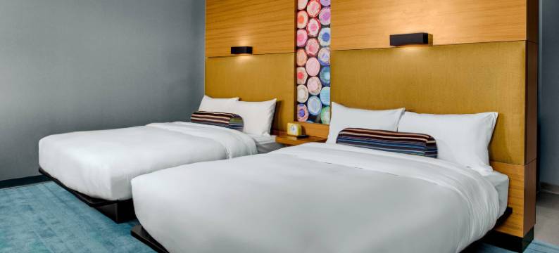 教堂山雅乐轩酒店(Aloft Chapel Hill)图片