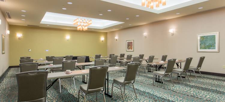 Holiday Inn 特克萨卡纳 - 会议中心(Holiday Inn Texarkana Arkansas Conv Ctr)图片