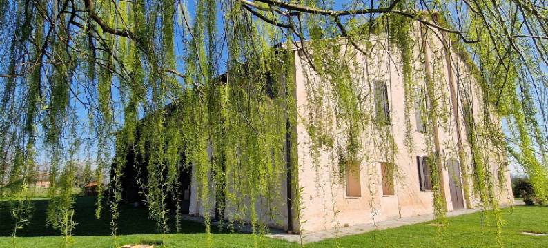 老屋卡萝利酒店(Antico Casale Caroli)图片