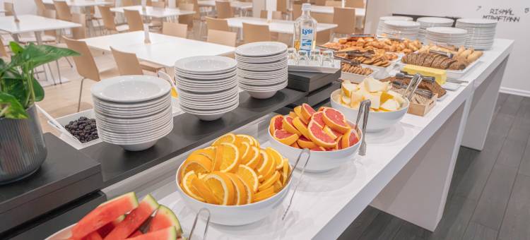 雷克雅未克灯光酒店(Reykjavik Lights Hotel by Keahotels)图片