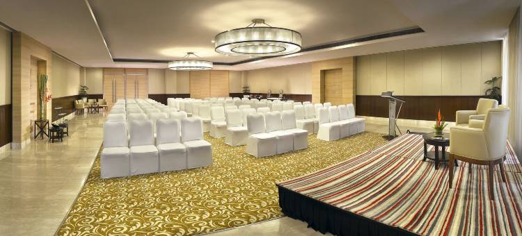 新德里机场大道福朋喜来登酒店(Four Points by Sheraton New Delhi, Airport Highway)图片