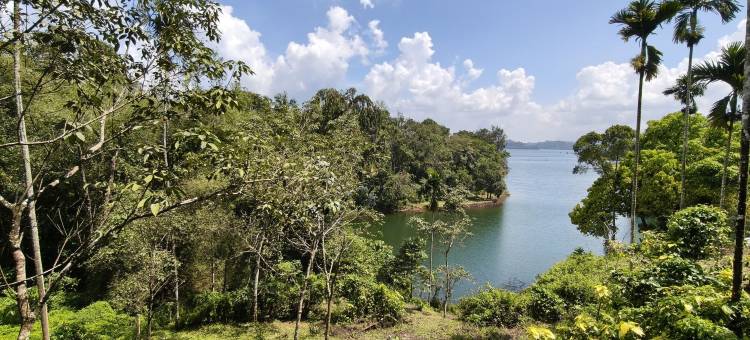 尼尔瓦尼卡班纳苏拉大坝静修处(Nirvanica Retreat Banasura Dam)图片