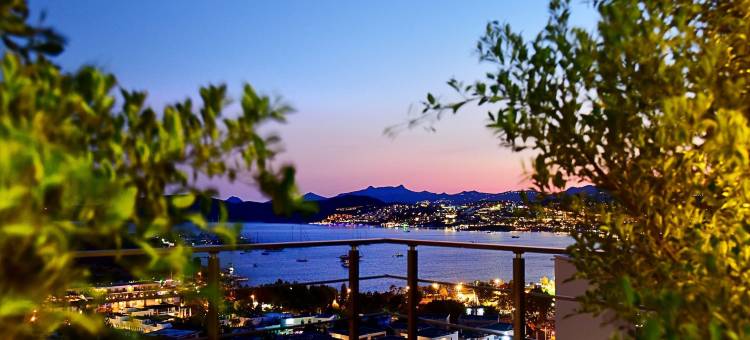 德吉门博努公寓(Degirmenburnu Residence)图片