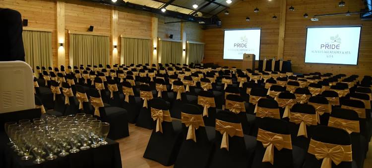 普莱德太阳村水疗度假村(Pride Sun Village Resort & Spa)图片