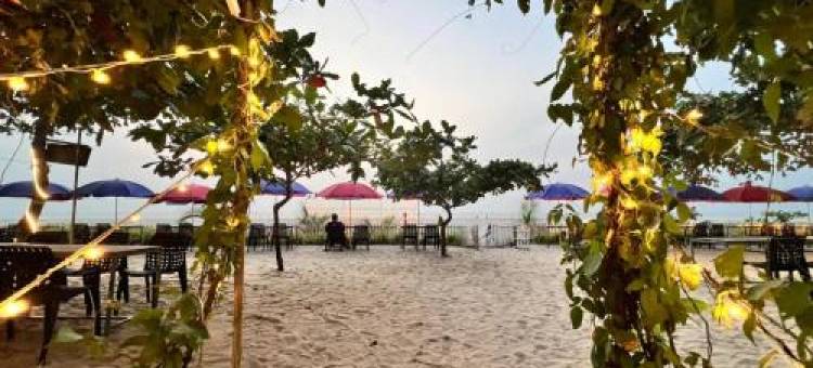 棕榈海滩阿育吠陀度假村(Alleppey Palm Beach Resort & Cafe)图片