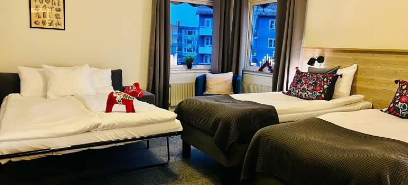 弗里德海姆斯加坦城市住宿(Fridhemsgatan City Stay)图片