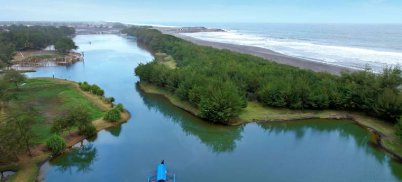 宜必思日惹库隆普洛戈国际机场酒店(Ibis Yogyakarta International Airport Kulon Progo)图片