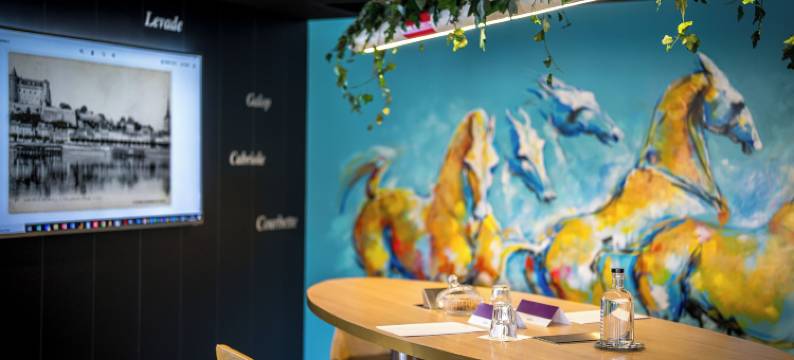 卢瓦尔边境索米尔美居酒店(Hôtel Mercure Bords de Loire Saumur)图片