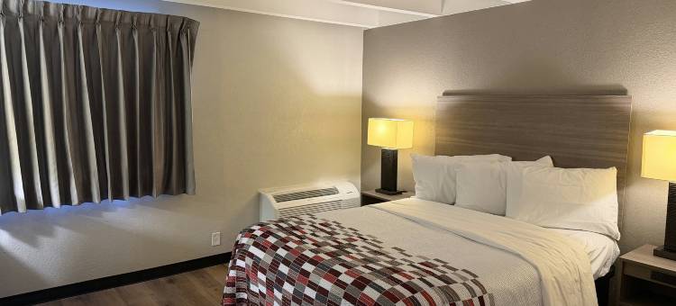 科科莫红屋顶旅馆(Red Roof Inn Kokomo)图片