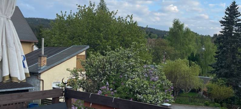 贾格霍夫乡村酒店(Landhotel Jägerhof Bischofsgrün)图片