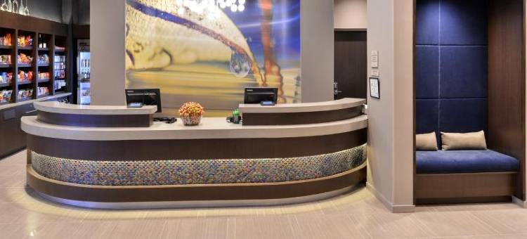 罗利卡瑞SpringHill Suites 酒店(SpringHill Suites Raleigh Cary)图片