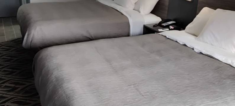 品质酒店(Quality Inn)图片