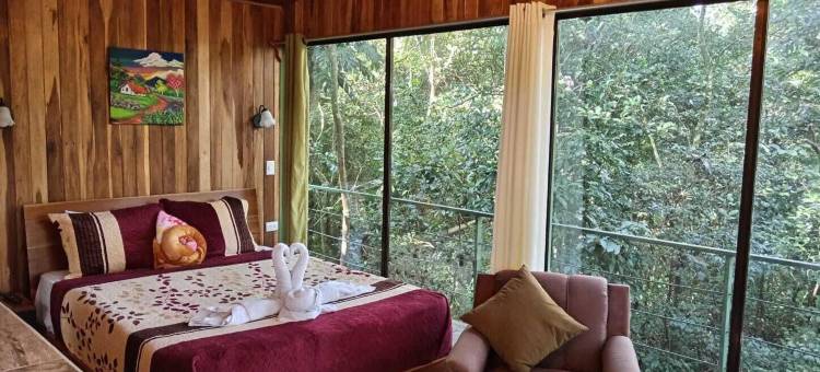 丛林生活树屋(Jungle Living Tree Houses)图片