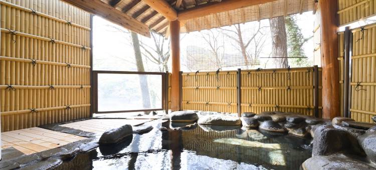 猿京温泉湖乡Le Vent Vert旅馆(Ryokan le Vent Vert Kokyo)图片