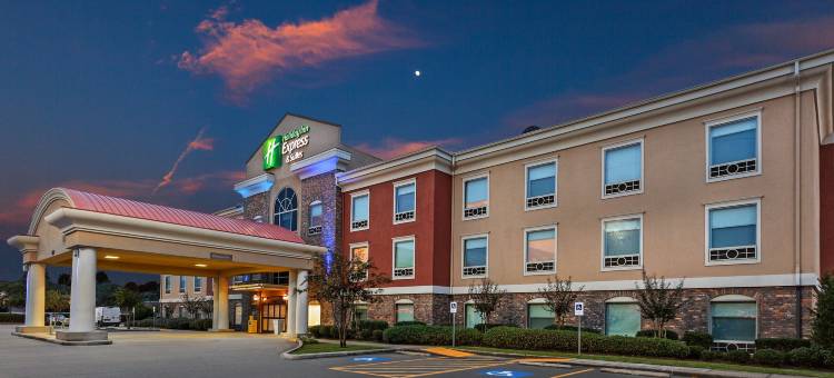 智选假日套房酒店碧玉(Holiday Inn Express & Suites JASPER by IHG)图片