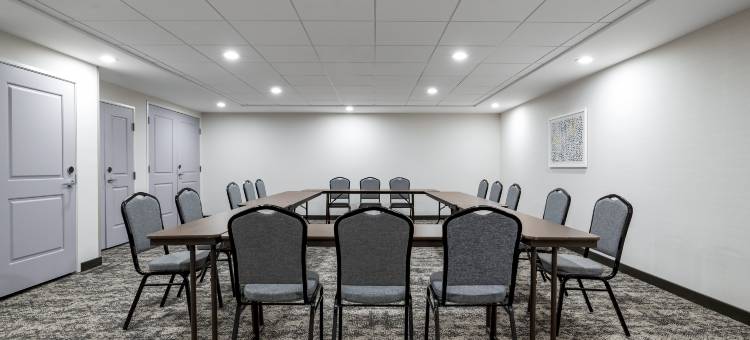 罗亚尔奥克Staybridge Suites酒店-底特律北部 洲际旗下(Staybridge Suites DETROIT NORTH - ROYAL OAK by IHG)图片