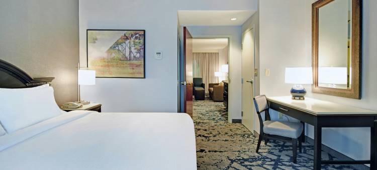 查尔斯顿希尔顿安泊酒店(Embassy Suites by Hilton Charleston)图片