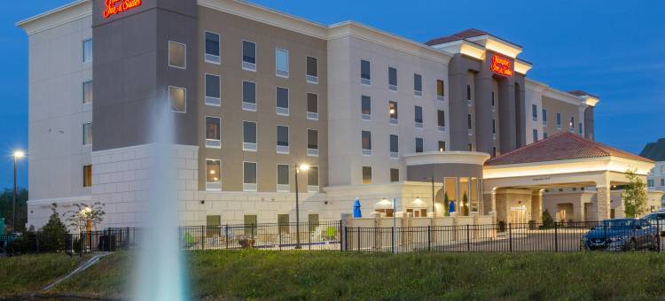 杰克逊维尔橘园欢朋套房酒店(Hampton Inn & Suites Jacksonville/Orange Park FL)图片
