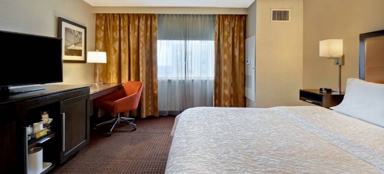 Hampton Inn NY-JFK图片