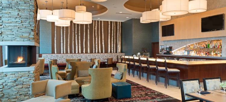 丹佛市中心会议中心希尔顿安泊酒店(Embassy Suites by Hilton Denver Downtown Convention Center)图片
