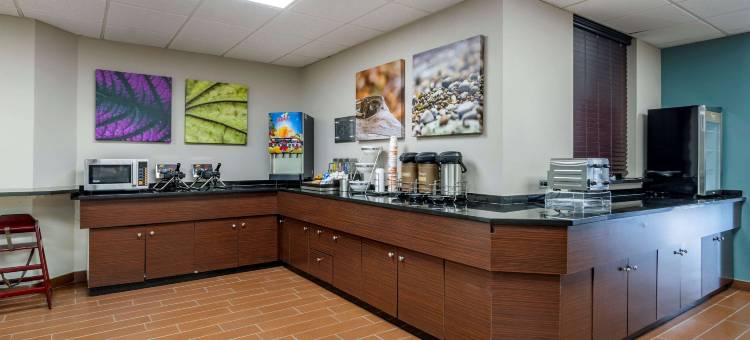 圣彼得堡克利尔沃特舒眠酒店(Sleep Inn Clearwater-St Petersburg)图片