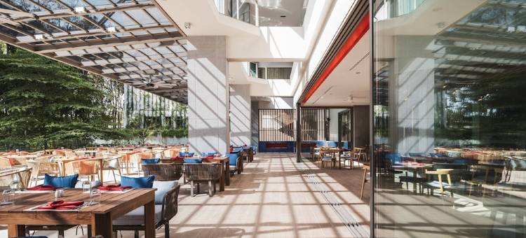 安凡尼臻选考拉酒店(Avani+ Khao Lak Resort)图片