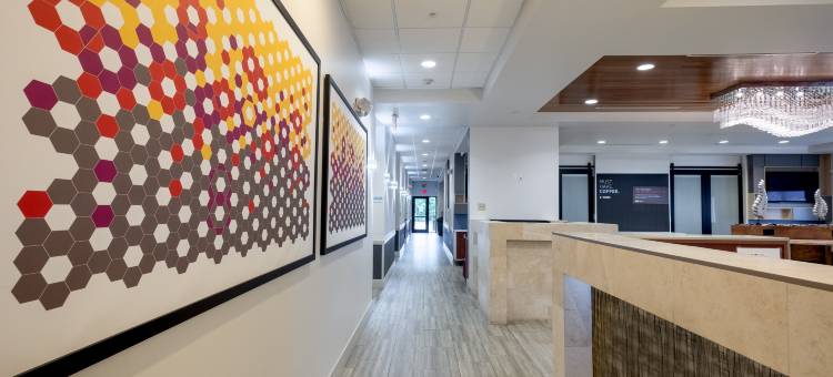 智选假日套房酒店奥兰多 - 国际大道(Holiday Inn Express & Suites Orlando - International Drive)图片