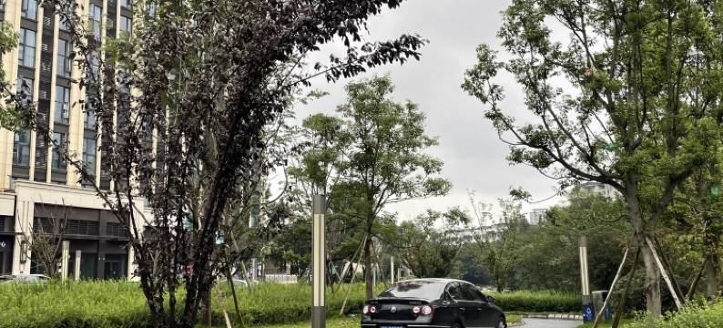 熊猫基地动物园太古里艾之家名宿公寓(方营路分店)图片