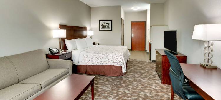 威奇托福尔斯大学贝斯特韦斯特优质套房酒店(Best Western Plus University Inn  Suites)图片