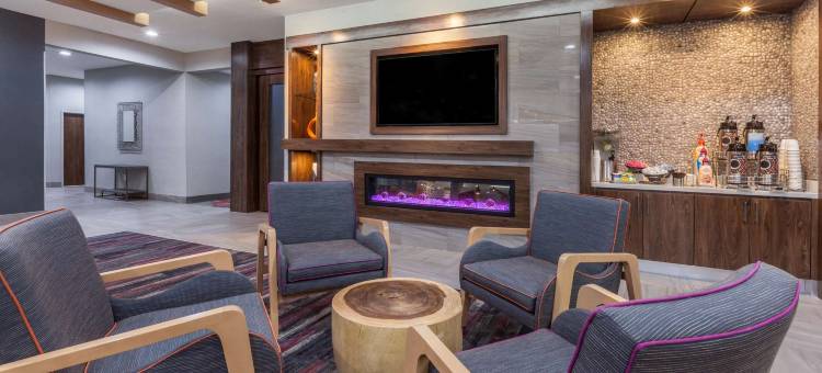 休斯顿东I-10拉昆塔温德姆套房酒店(La Quinta Inn & Suites by Wyndham Houston East at Sheldon Rd)图片