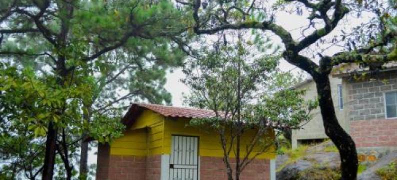 Hotel y Restaurante Las Margaritas图片