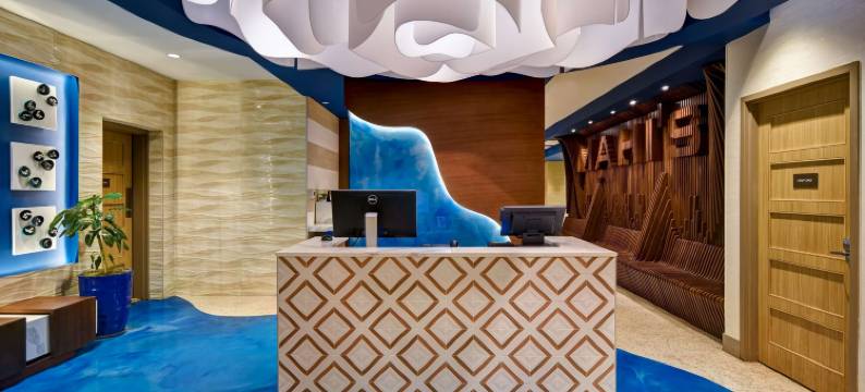 维吉尼亚海滩海滨南希尔顿逸林酒店(DoubleTree by Hilton Virginia Beach Oceanfront South)图片