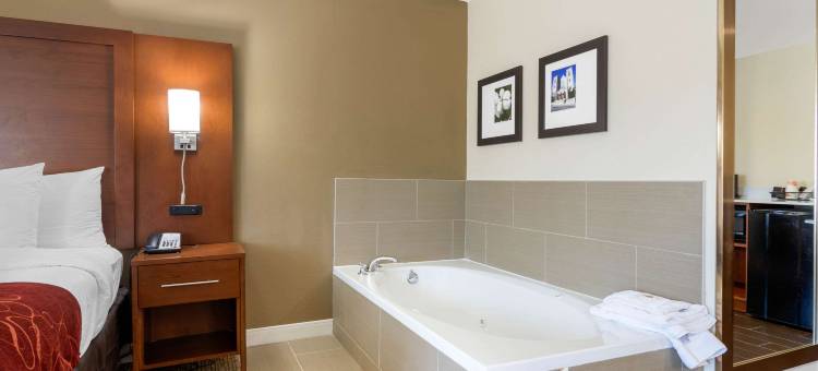 梅肯西舒适套房酒店(Comfort Inn & Suites Macon West)图片