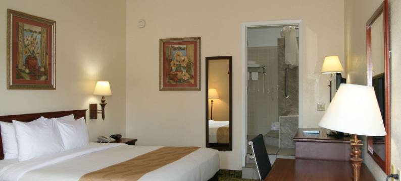 凯艺酒店(Quality Inn)图片