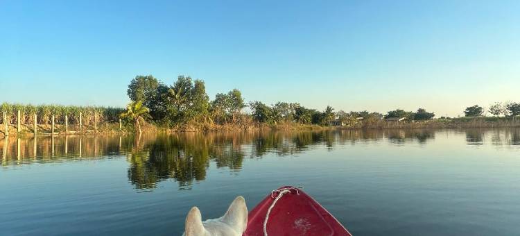 Tungdindum Farm Stay图片