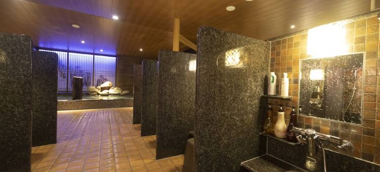 东京后乐园多美迎温泉酒店(多美迎・御宿野乃 酒店集团)(Dormy Inn Korakuen Hot Spring)图片