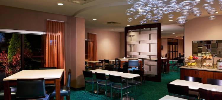 纽瓦克国际机场SpringHill Suites 酒店(SpringHill Suites by Marriott Newark International Airport)图片