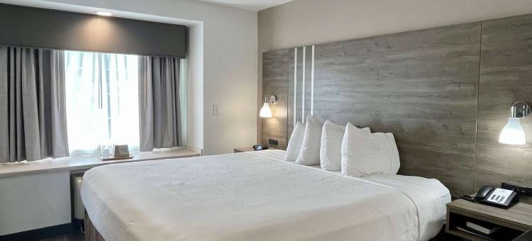 罗阿诺克贝斯特韦斯特套房酒店(Best Western Roanoke Inn  Suites)图片