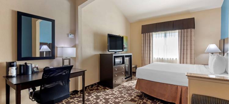 阿灵顿北贝斯特韦斯特优质套房酒店(Best Western Plus Arlington North Hotel  Suites)图片