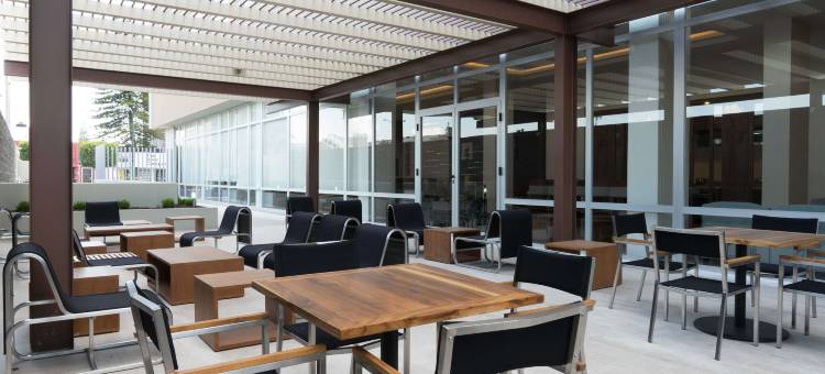 伊拉普阿托欢朋酒店(Hampton Inn by Hilton Irapuato)图片