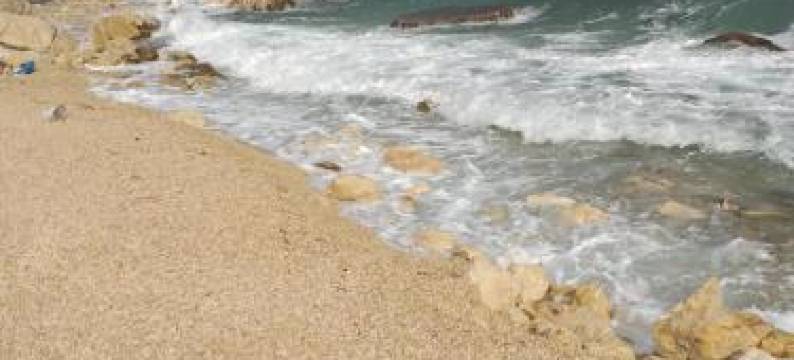 Apartmani Marijanovic图片