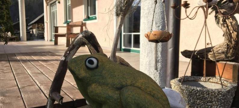 塞梅尔公寓(Apartmenthaus Simmer)图片