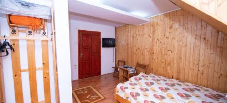 弗洛里营地旅馆(Pensiunea Flori de Camp)图片