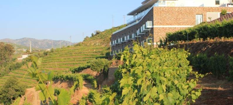 德尔芬杜罗酒店(Delfim Douro Hotel)图片