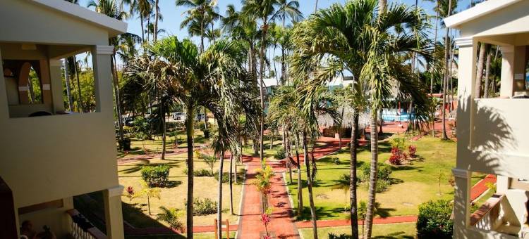 巴伐罗可莱特塞托饭店(Hotel Cortecito Inn Bavaro)图片