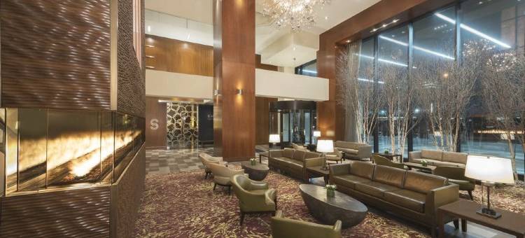 渥太华威斯汀酒店(The Westin Ottawa)图片